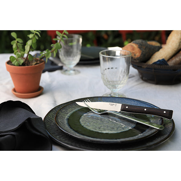 Coffret de 4 couteaux de table à lame lisse Facette frêne sombre  Opinel - Mathon - 3