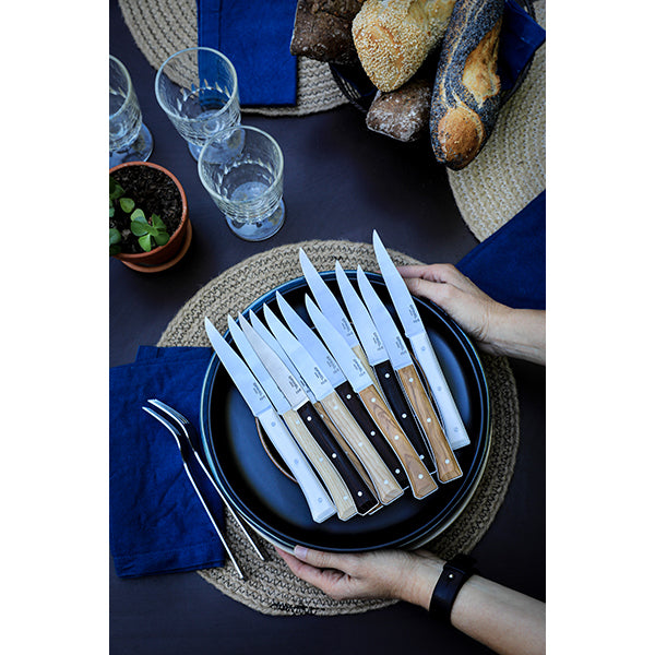 Coffret de 4 couteaux de table à lame micro dentée Facette ardoise   Opinel - Mathon - 4