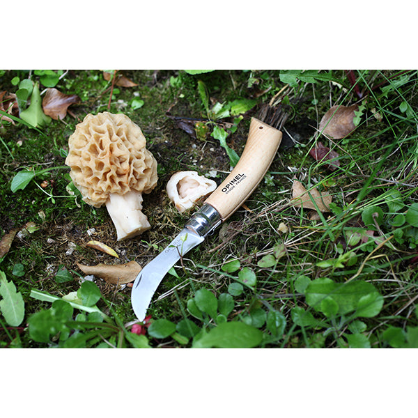 Couteau à champignons pliant N°08 lame inox 8 cm Opinel - Mathon - 4