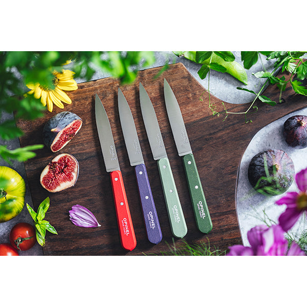 Coffret 4 couteaux d’office N°112 Essentiels Paysage Opinel - Mathon - 2
