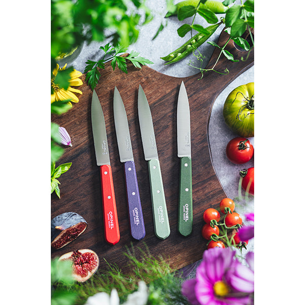 Coffret 4 couteaux d’office N°112 Essentiels Paysage Opinel - Mathon - 4