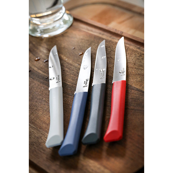 Coffret 4 couteaux de table Bon Appétit Opinel - Mathon - 2