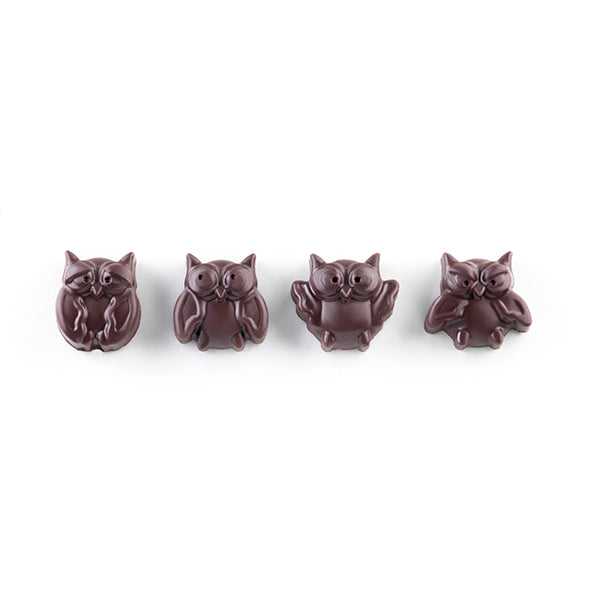 Moule en silicone 12 chocolats chouette Silikomart - Mathon - 1