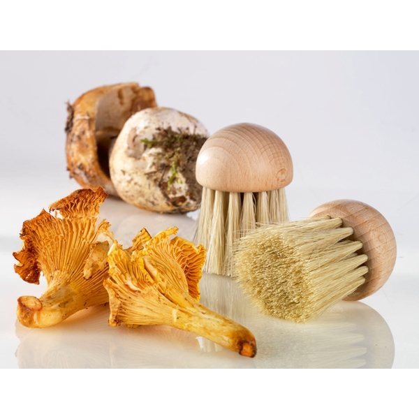 Brosse à champignons La Bonne Graine - Mathon - 2