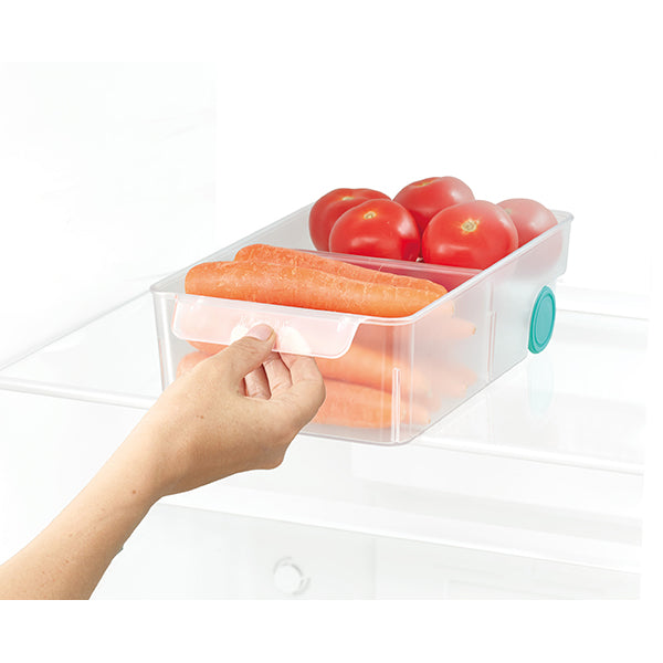 Grand bac rangement FridgeStore Joseph Joseph - Mathon - 1