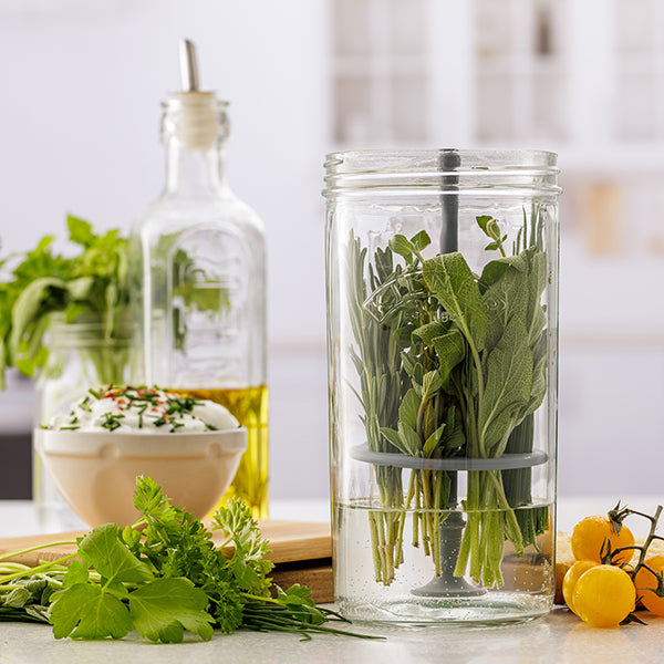 Set de préservation pour herbes en verre et silicone 1 L Kilner - Mathon - 2