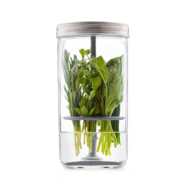 Set de préservation pour herbes en verre et silicone 1 L Kilner - Mathon - 1