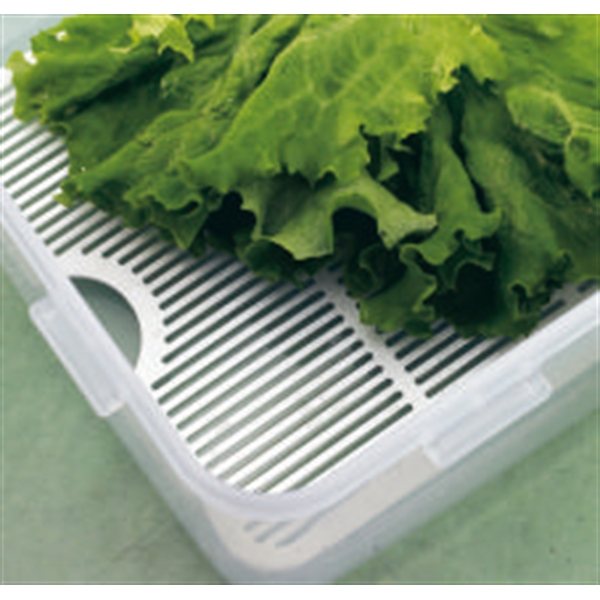 Boîte basse à salade et grille fraîcheur 3,9 L Lock and Lock - Mathon - 2