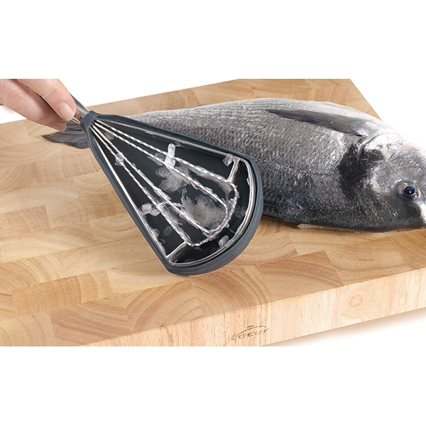 Grattoir à poisson inox Lacor - Mathon - 3
