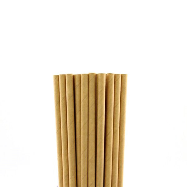 Set de 250 pailles écologiques en papier kraft Lebrun - Mathon